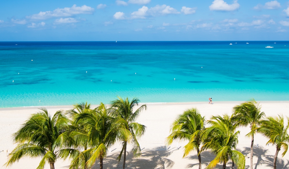 Seven Mile Beach with Palm Tree and Caribbean turquoise water