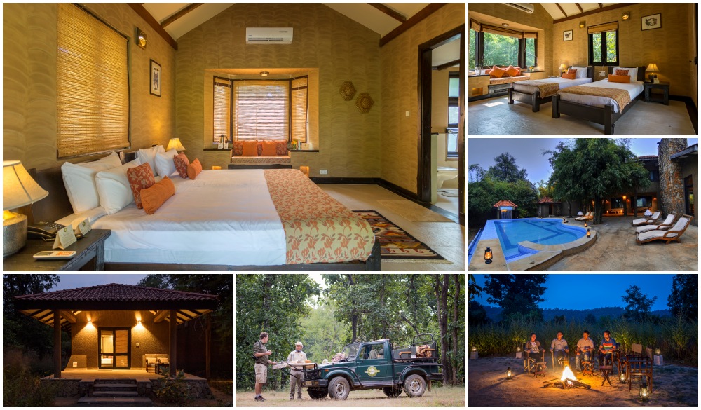 Pugdundee Safaris - Kings Lodge, wildlife encounters