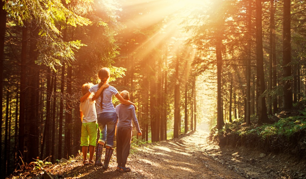 Brothers and sister playing in forest. After a short rain the sun again started to shine and from the wet ground mist started to rise. The kids went to play in the forest. Kids aged 6 and 10 are are staring at the glorious sun beams.