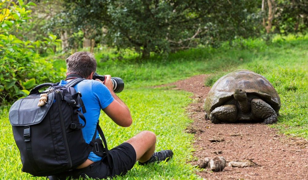 Südamerika, Pazifik, Pazifischer Ozean, Ecuador, Galapagosinseln, Galápagos-Inseln, Provinz Galápagos, Insel Santa Cruz, Tourist (m) fotografiert eine Galápagos-Riesenschildkröte (Chelonoidis nigra) - Santa-Cruz-Riesenschildkröte (C. nigra porteri), en: Galápagos tortoise or Galápagos giant tortoise