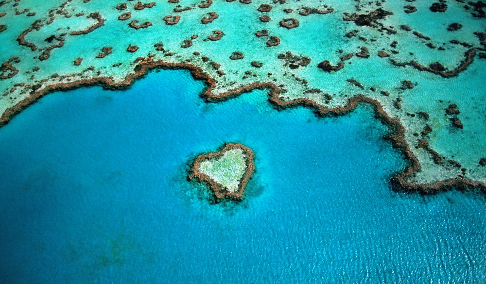  Great Barrier Reef, heart shaped reef,snorkelling spot