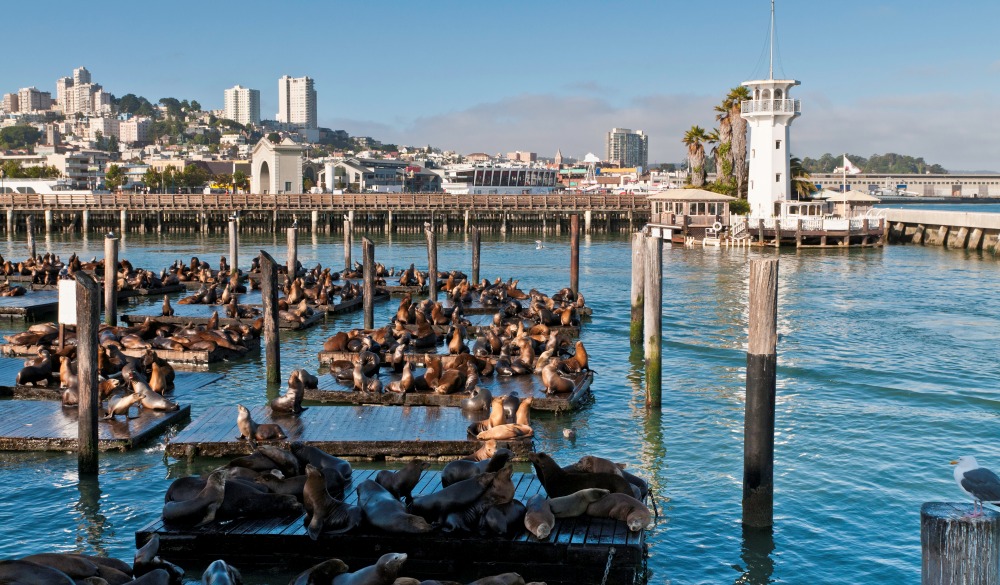 Fisherman's Wharf Pier 39 San Francisco Boutique Hotel