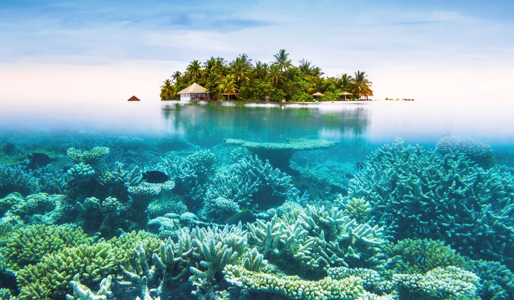 Maldives tropical islands and corals, tropical island vacations