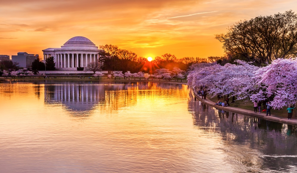  peak bloom at the Tidal Basin, underrated U.S. destinations