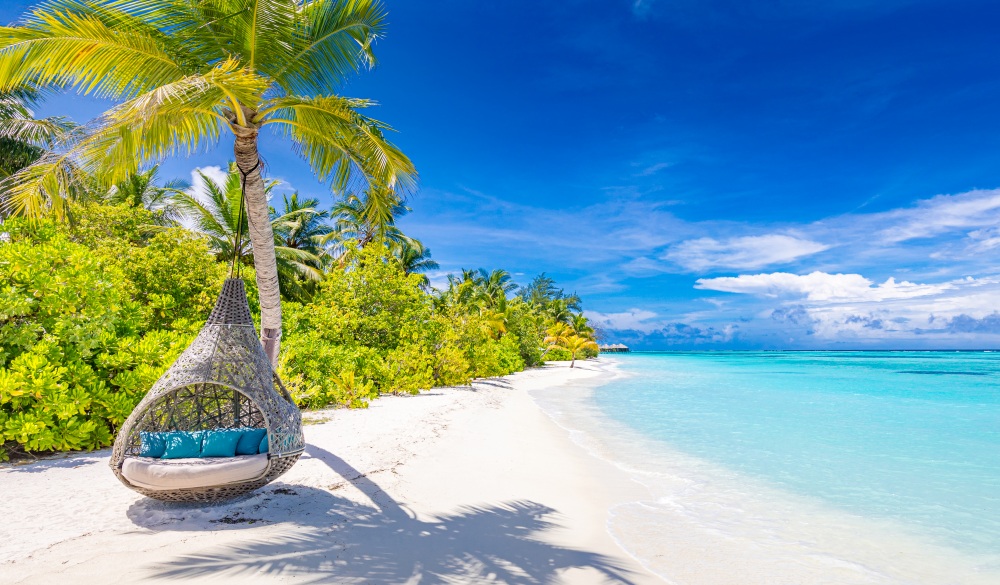 Beautiful beach with palm trees and moody sky. Summer vacation travel holiday background concept. Maldives paradise beach. Luxury travel summer holiday background concept.