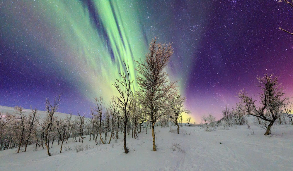 Aurora Borealis display, above the Fjällny Mountains