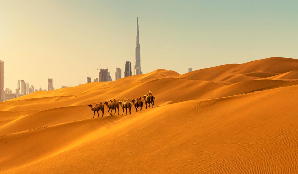 Looking along desert towards the business district