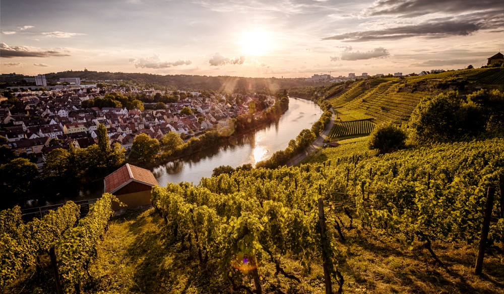 Sunset over the Vineyards at the Neckar