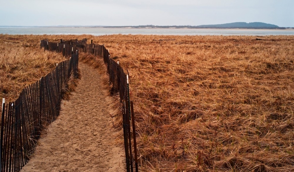  Plum Island, Path toward beach, destination to avoid crowds