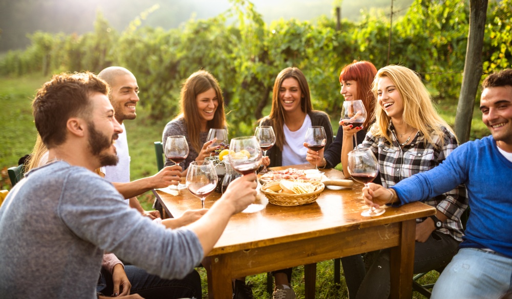 friends toasting with red wine after the harvesting, wine tasting in the United States
