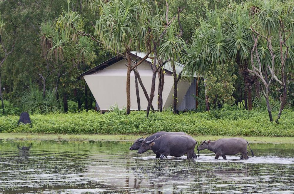 Bamurru Plains, Northern Territory, top eco-friendly hotel in Australia