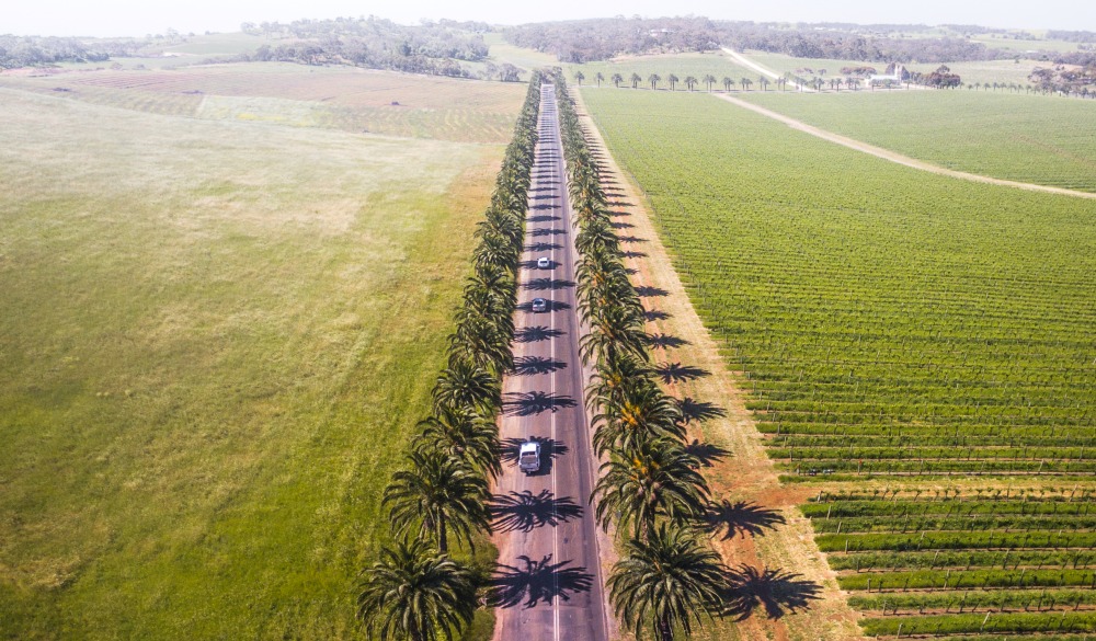 High Angle View Of Agricultural Field