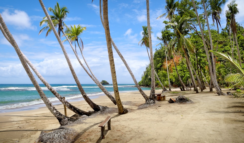 Batibou Beach, 