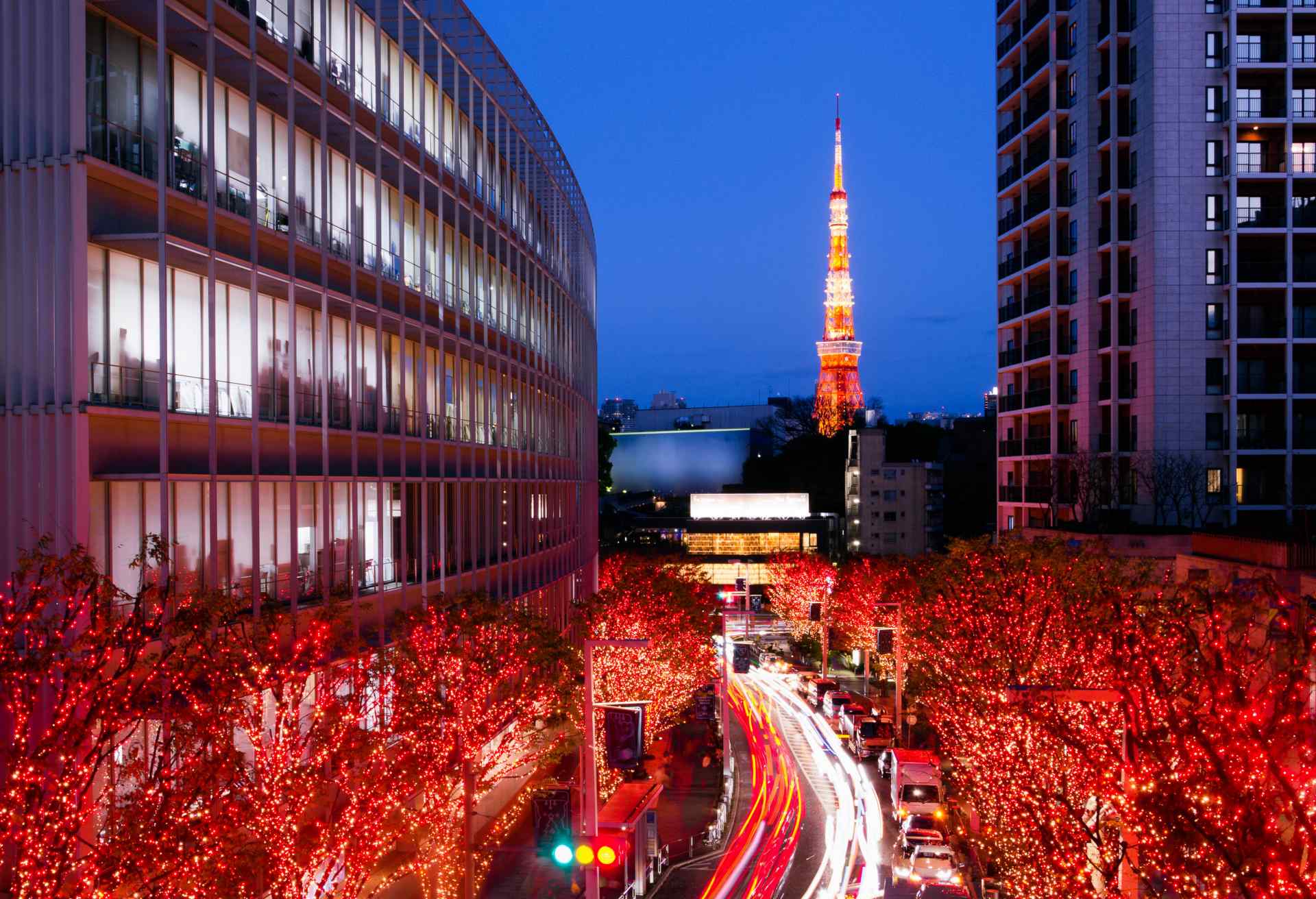 Winter Illumination in Tokyo seen from Roppongi Hills