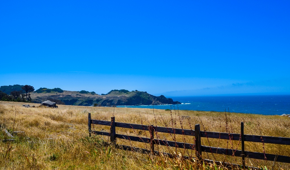 Pacific Coast Highway at Salt Point State Park