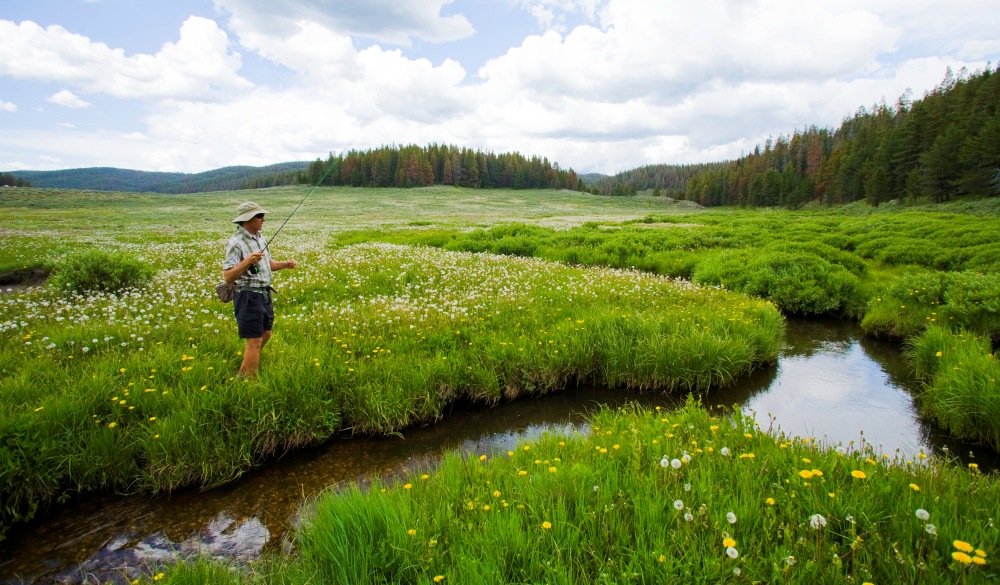 Man Fly Fishing Colora