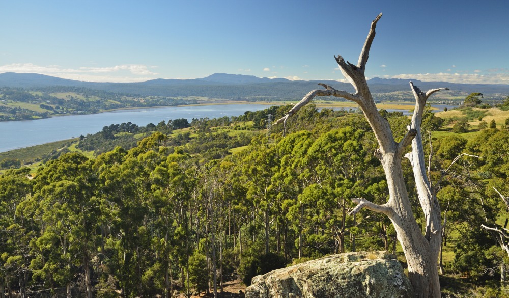 River Tamar, Tamar Valley, Tasmania, Australia, Pacific