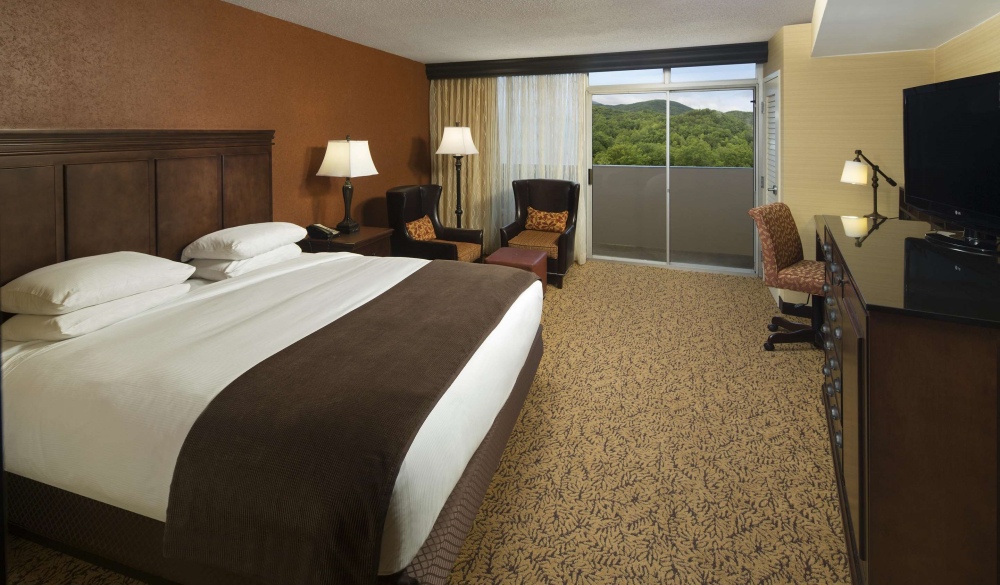 The Park Vista - a DoubleTree by Hilton Hotel - Gatlinburg, hotels near UNESCo sites