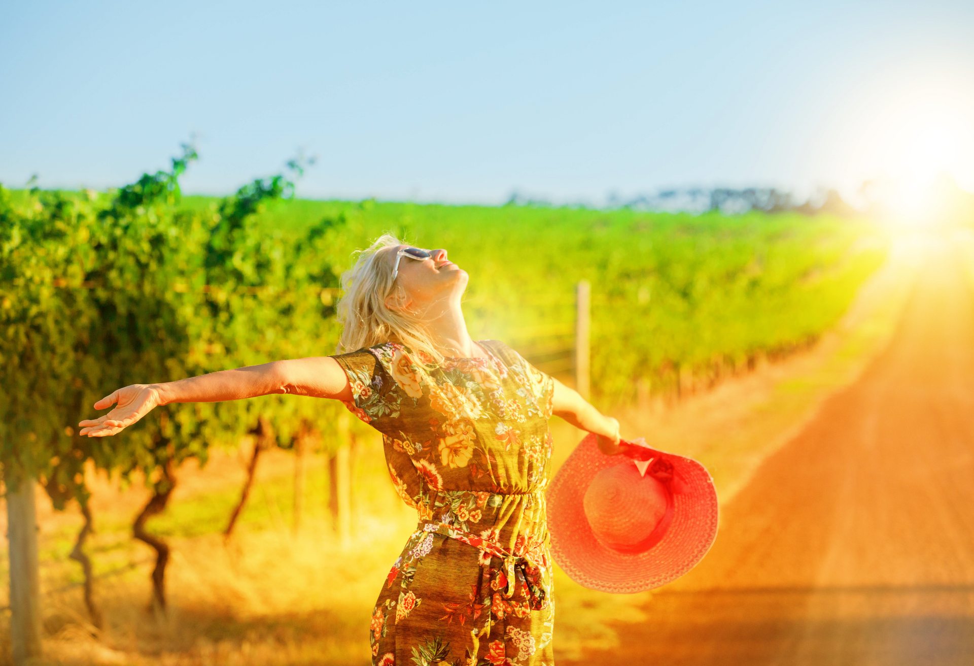 Woman With Arms Outstretched Standing At Vineyard