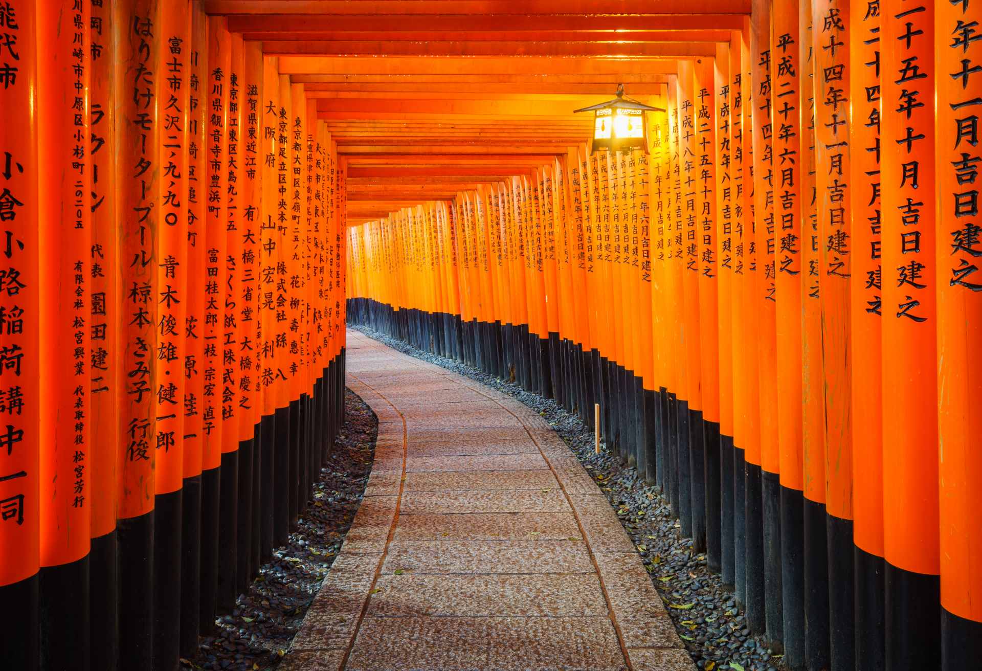 Torii gates in Fushimi Inari Shrine, Kyoto,