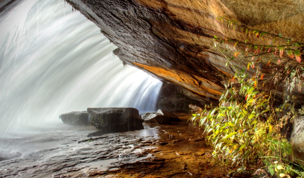 Under Bridal Veil Falls, Dupont State Forest