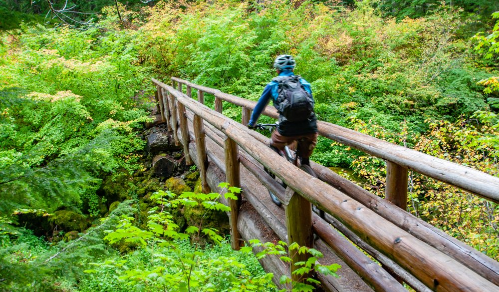 mountain biking on the McKenzie River Trail, best mountain bike trail