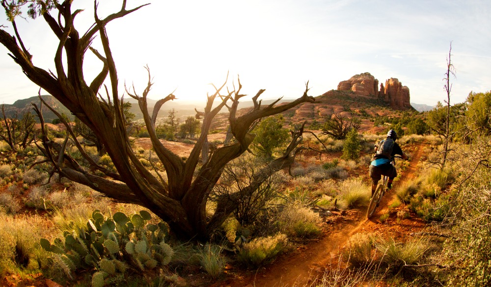 mountain bike rider heads down a singletrack trail at sunset in Sedona, Arizona,