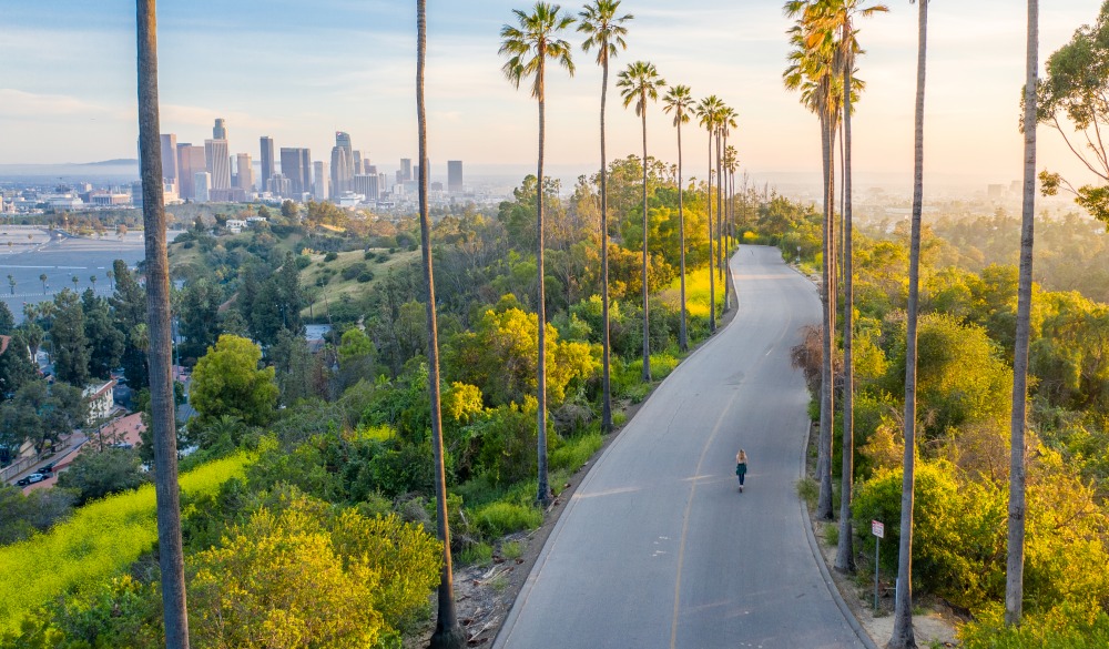 Young Woman Walking Down Palm Trees Street Revealing Downtown Los Angeles