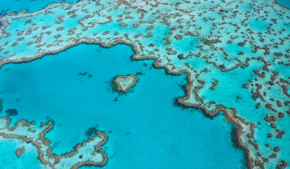 Heart Reef at the Great Barrier Reef, Whitsundays Queensland