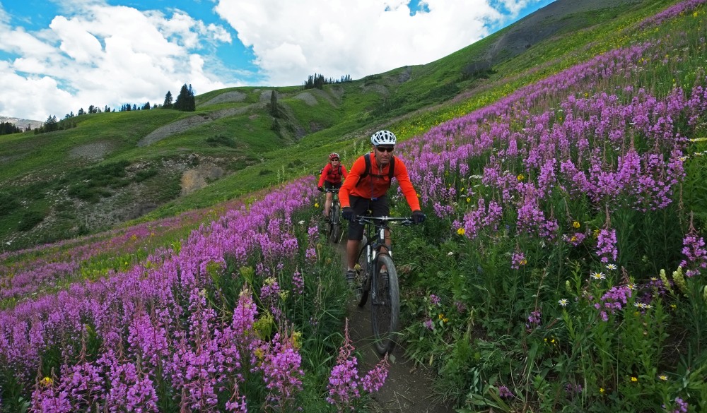 Mountain biking of famous 401 Trail in Crested Butte, bike trail