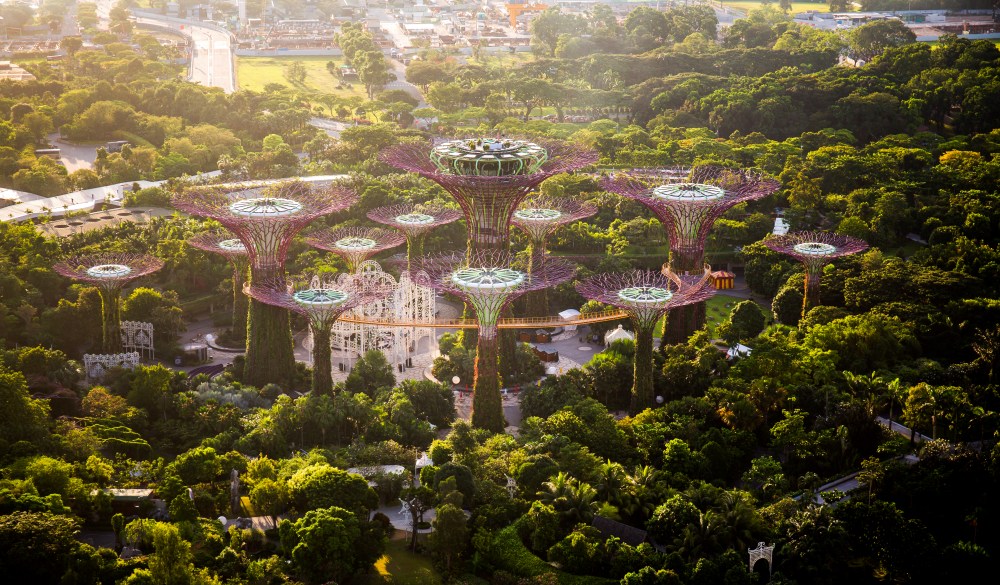 Garden by the Bay