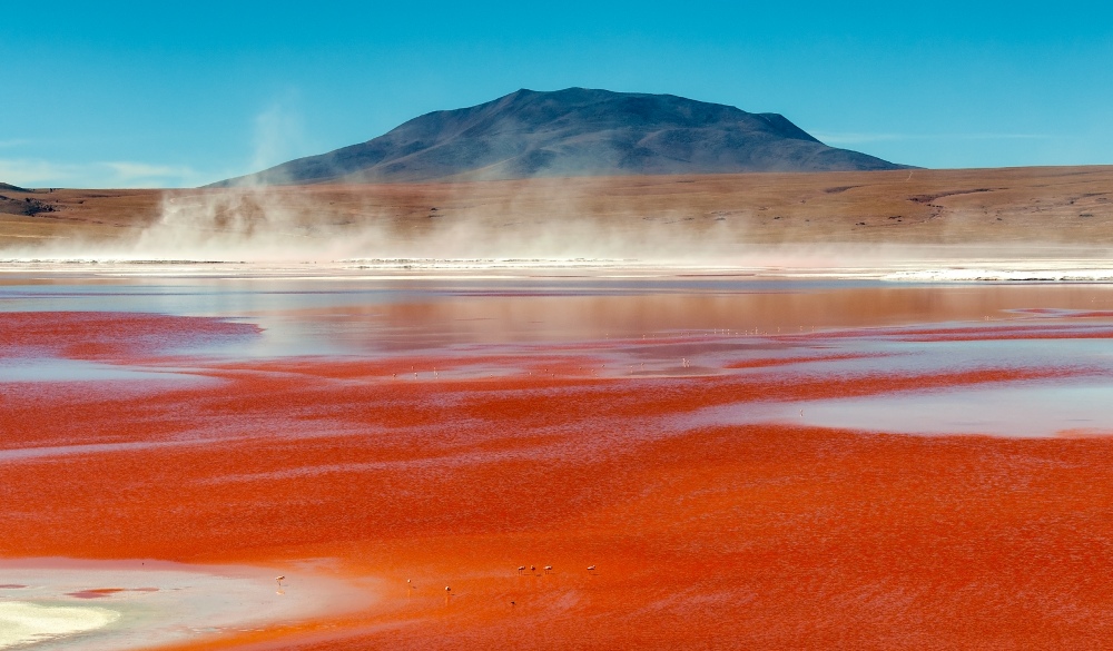 Laguna Colorada in the Bolivian Altiplano , Bolivia, travel bucket list