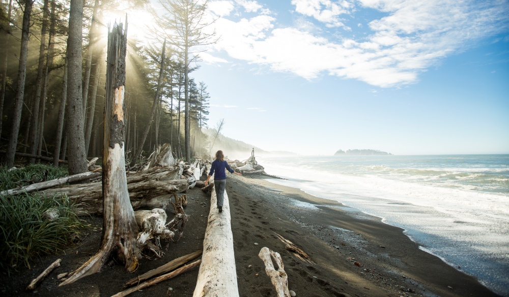 coast in the Olympic National Park