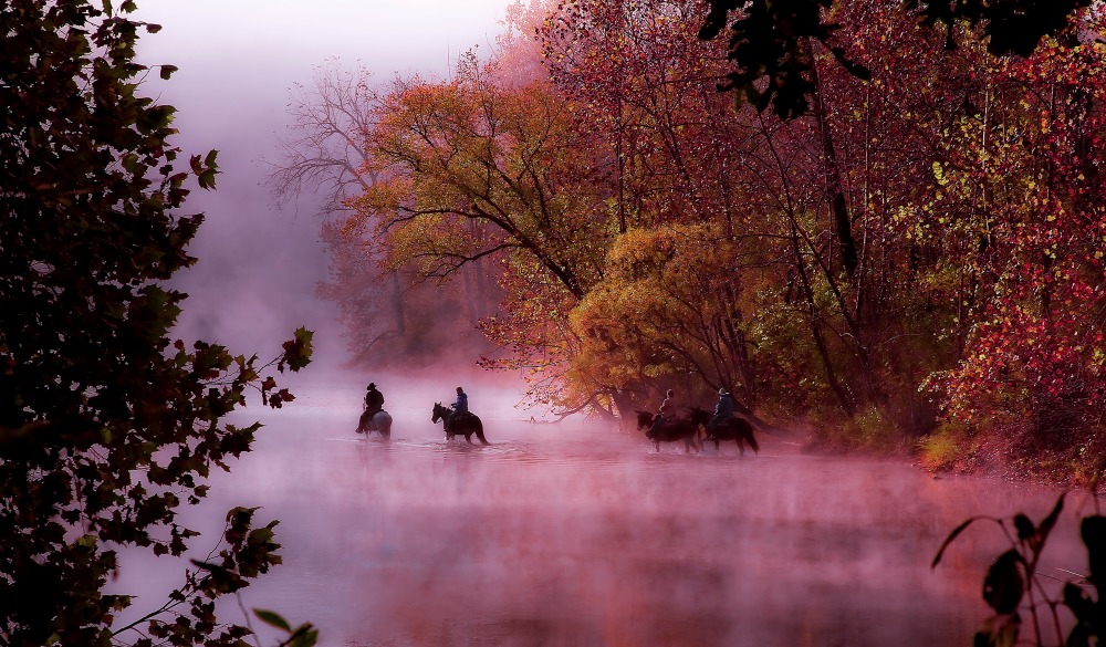 Horses and riders crossing the river on a foggy autumn morning