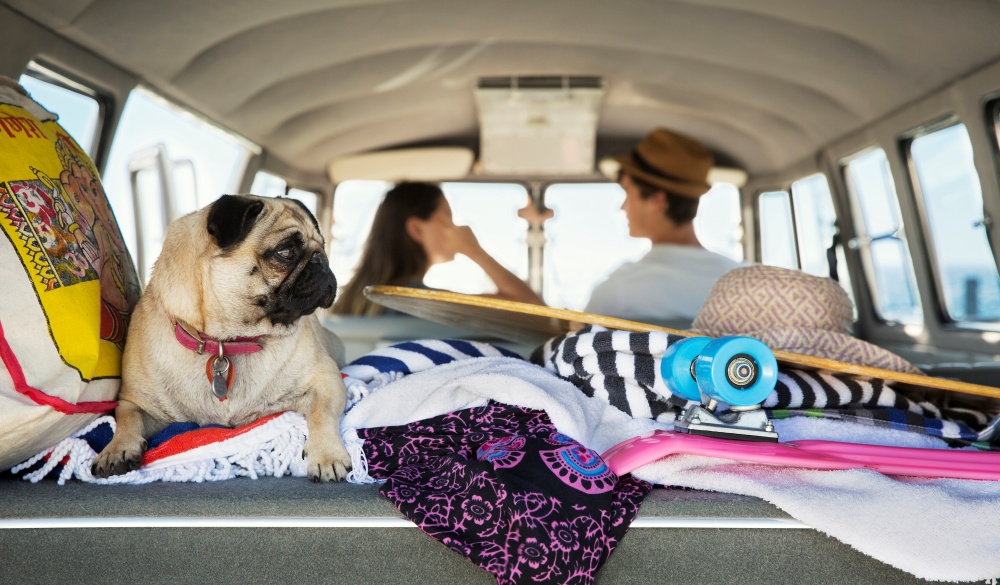 Group of friends with a surf van by the sea, road trip from New York