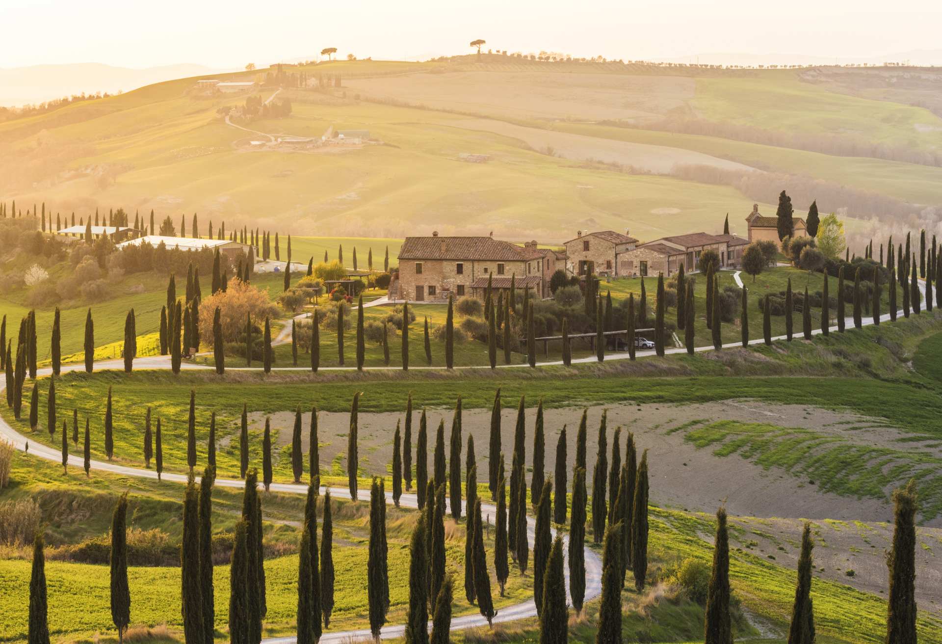 Valdorcia, Siena, Tuscany. Road of cypresses in a farmhouse at sunset