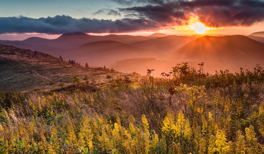 Sam Knob in the Shining Rock Wilderness