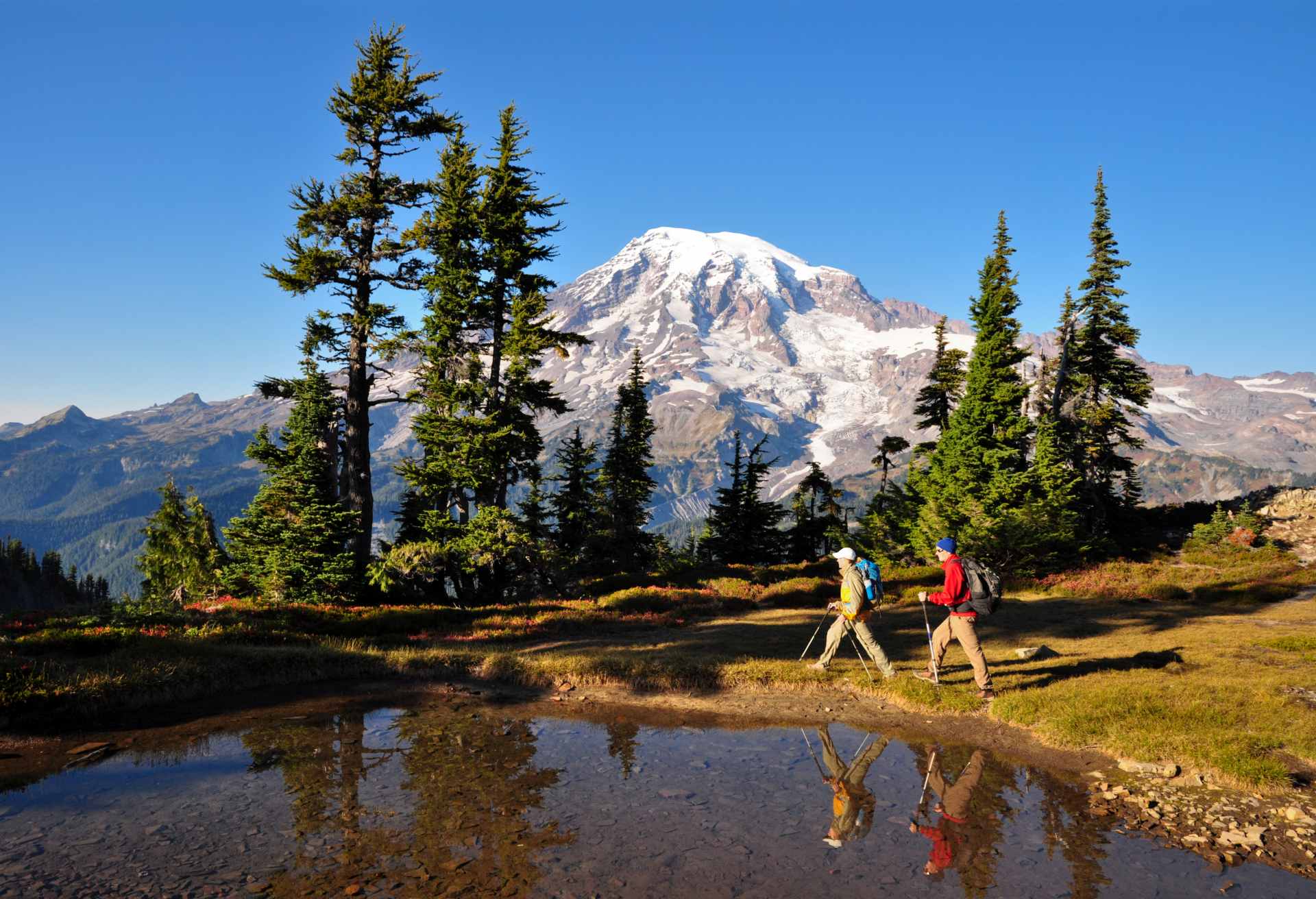 Hiking Mt. Rainier