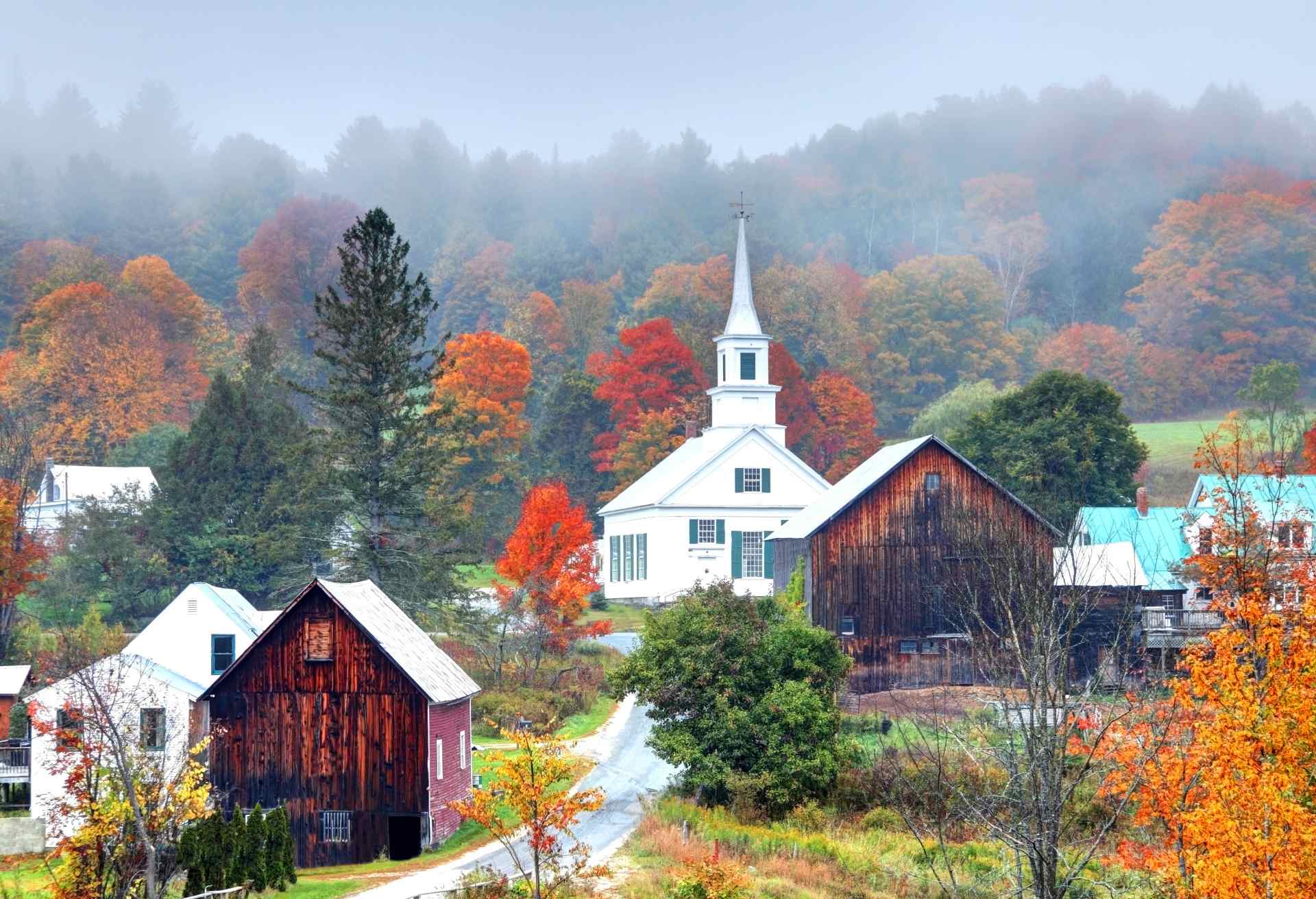 Misty Autumn Foliage in Rural Vermont