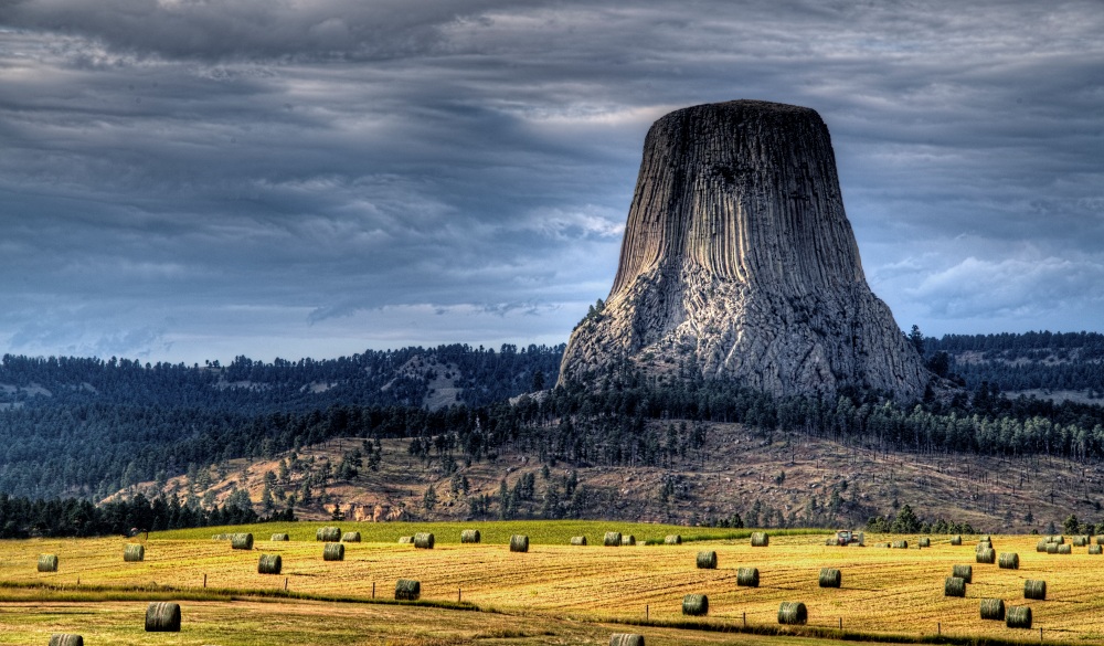 Hay Field with Rolled Bales with Devils Tower, Wyoming in the background