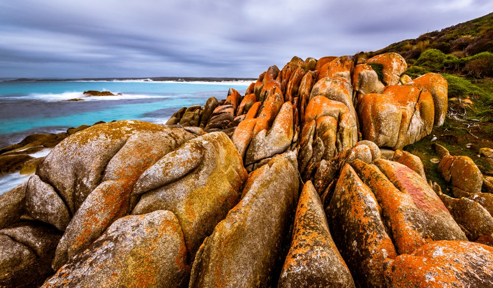 Mount William National Park at Bay of Fires, Tasmania, iconic australian road trip destination