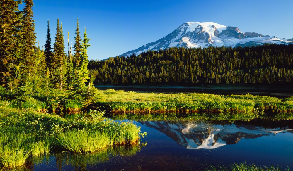 Mount. Rainier National Park, nature travel destinations