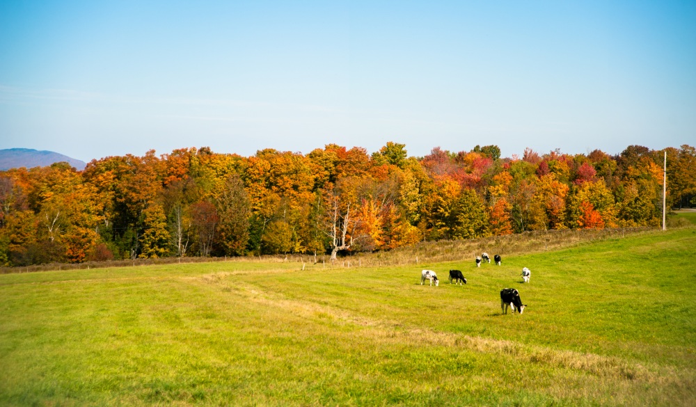 Appalachian mountains