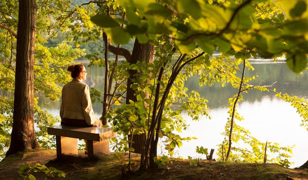 Mature woman sitting on lakeside seat in forest, Brattleboro, Vermont, USA
