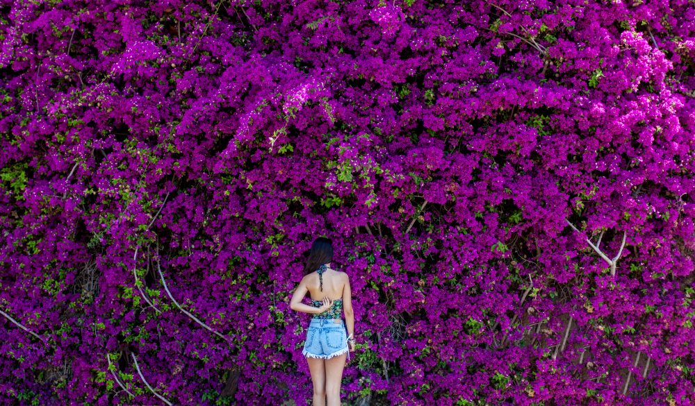 Woman standing in front of bougainvillea