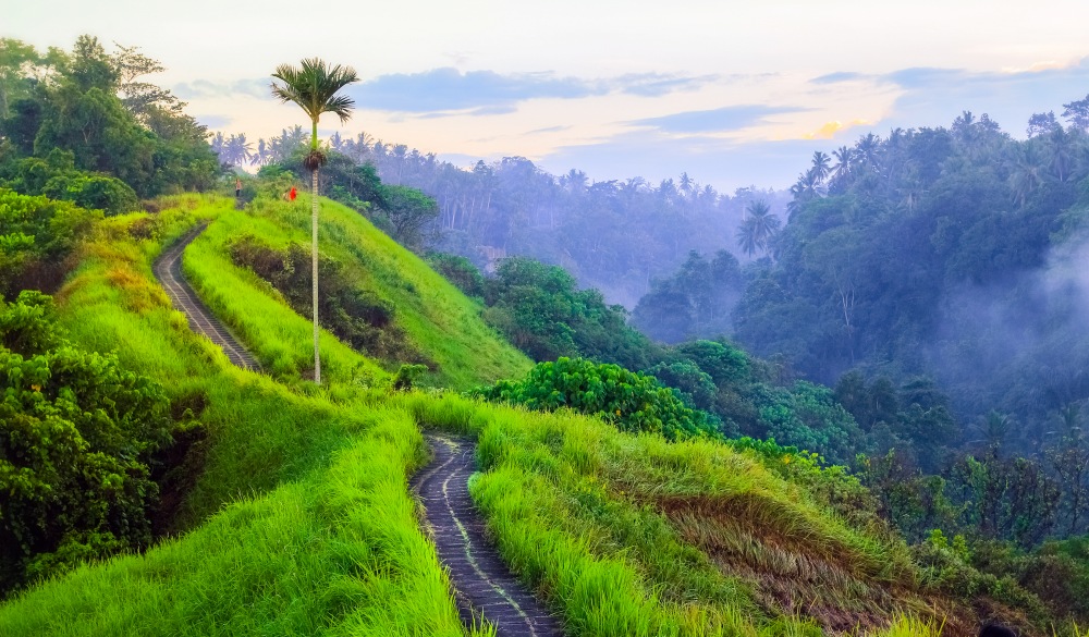 Scenic Green Valley Hiking Trail in BALI : Campuhan Ridge Walk