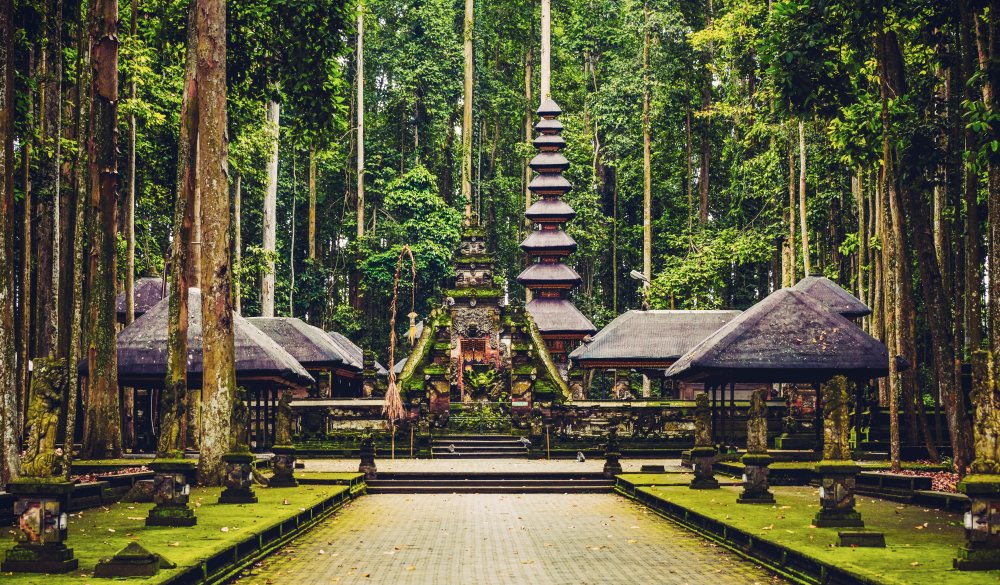 Sacred Monkey Forest Sanctuary in Ubud, Bali, Indonesia
