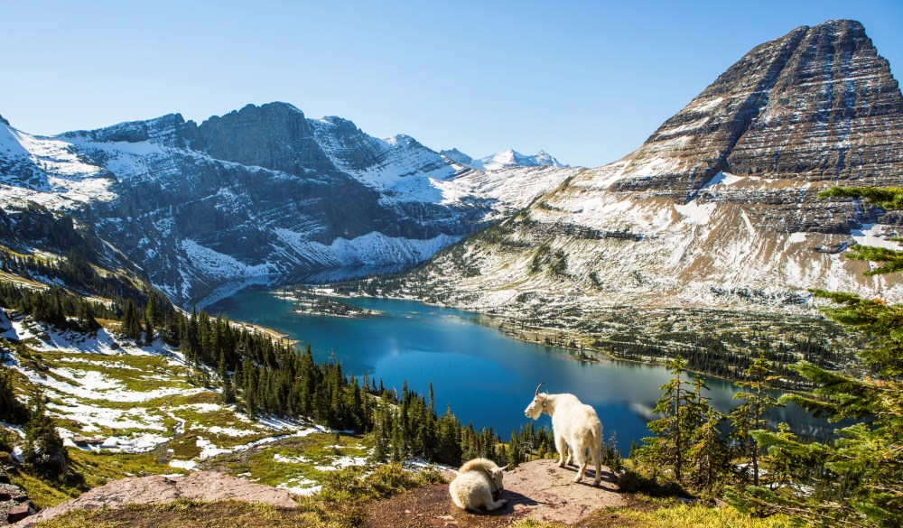 Scenic view of Glacier National Park.