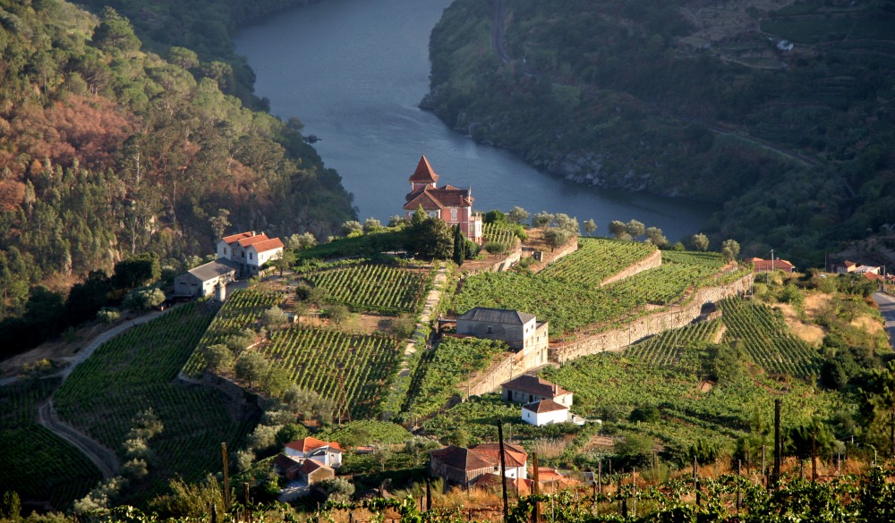 Douro Valley, Portugal, destination for portugal road trip