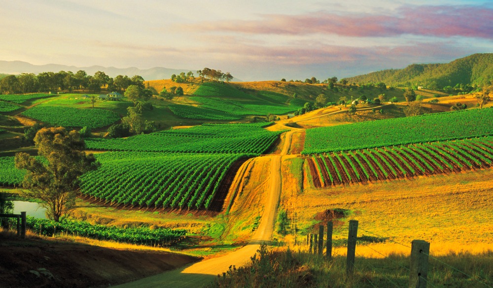 Hunter Valley wine region